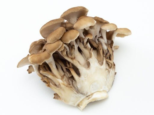 Maitake (2)